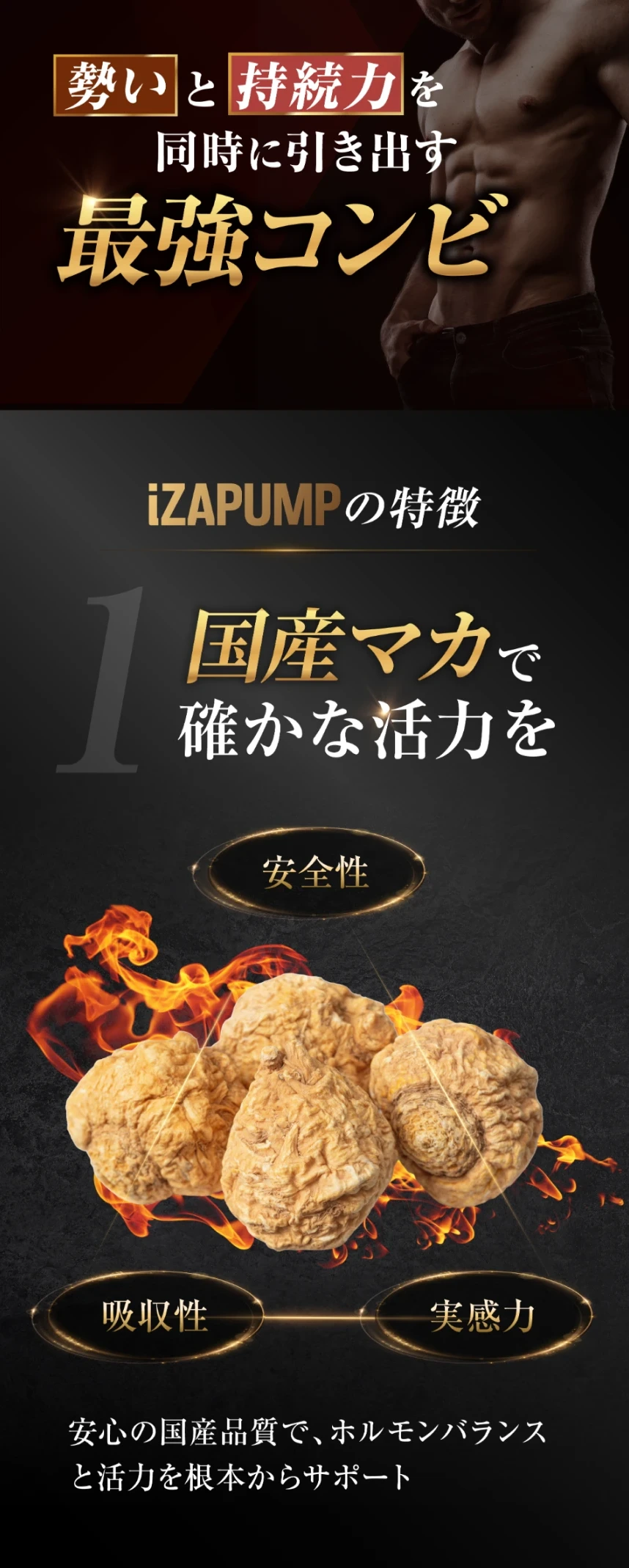 iZAPUMPの特徴1 国産マカで確かな活力を 安全性 吸収性 実感力